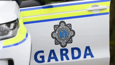 Gardaí attend scene of fatal house fire in Co Offaly