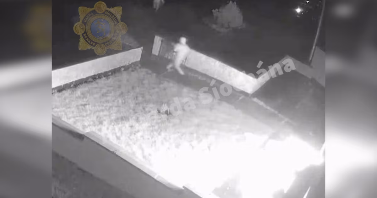 Gardaí release CCTV footage of fatal firebomb attack on Edenderry house