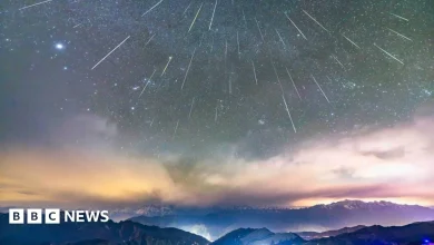 Geminid meteor shower set to light up sky during weekend peak