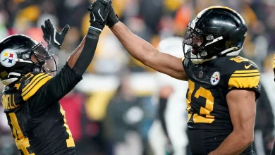 Gerry Dulac: Steelers heat up, turn in most complete performance on frigid night vs. Dolphins