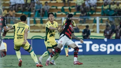 Gol em Mirassol x Flamengo choca torcedores: 'Puskas'