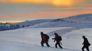 Gold Outlook 2026: Push ahead or pull back