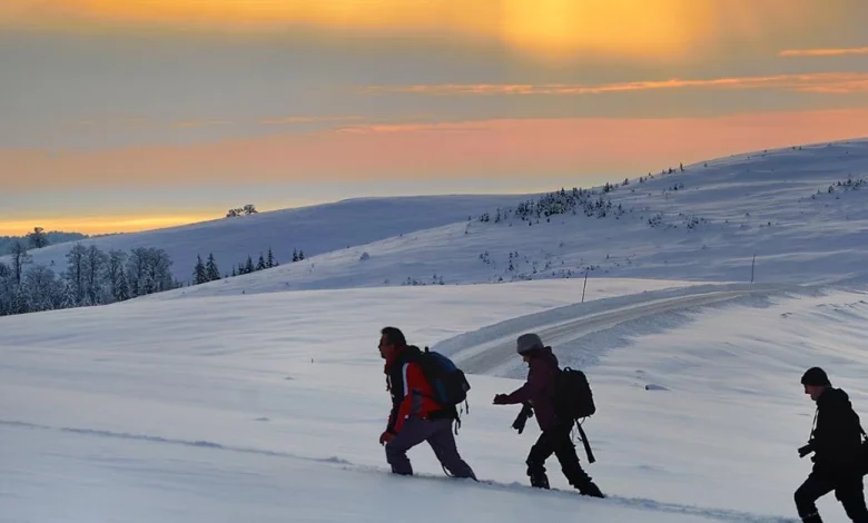 Gold Outlook 2026: Push ahead or pull back