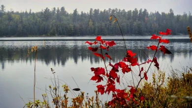 Good morning, Nickel City! Here are stories to start your day