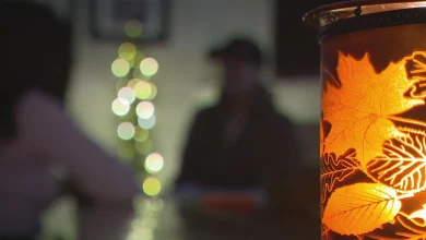 Government responds to allegations of widespread fraud at Social Development and Poverty Reduction ministry