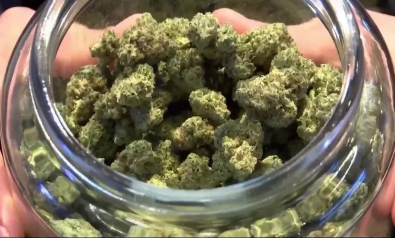 Grand Traverse County allocates $500K from marijuana sales to nonprofits