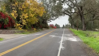 Granite Bay man killed in head-on crash; CHP investigating