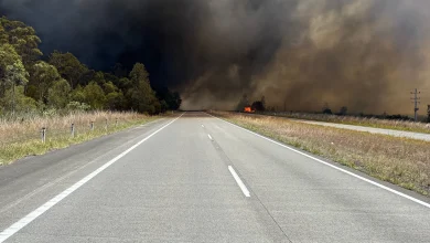 Grass, bush fire causing chaos for motorists on Pacific Highway