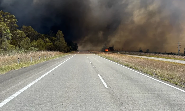 Grass, bush fire causing chaos for motorists on Pacific Highway