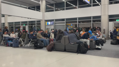 Ground stop ordered at Denver International Airport due to wind
