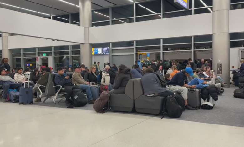 Ground stop ordered at Denver International Airport due to wind