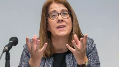 HSE appoints former official Anne O’Connor as new chief executive