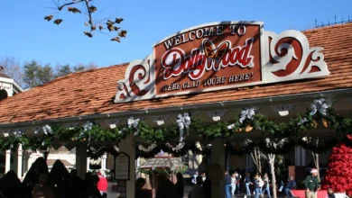 Half of Dollywood’s Attractions Shut Down When This Happens