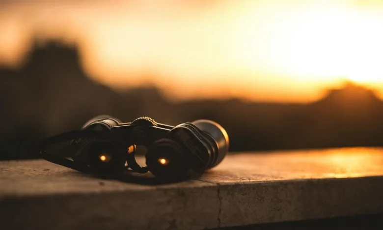 Hargreaves Lansdown’s funds to watch in 2026