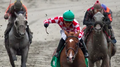 Hastings Racecourse in Vancouver to shut down permanently, operator says