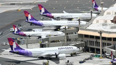 Hawaiian Airlines Holds Black Friday Sale on Japan–Hawaii Routes