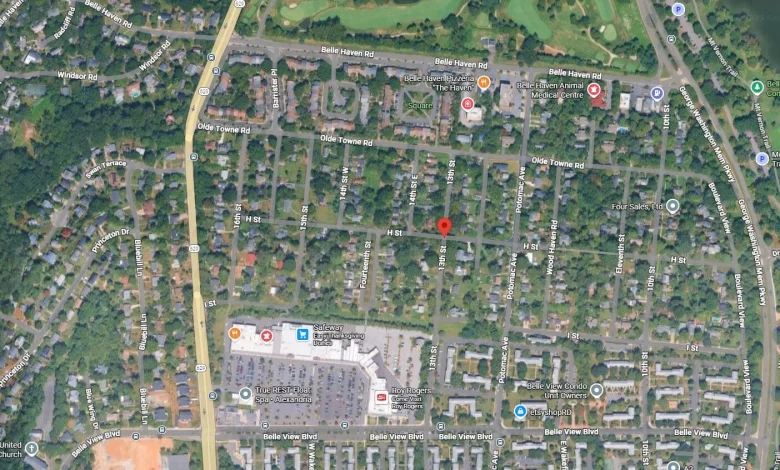 Health Department Warns of Rabid Cat in Belle Haven, Urges Community to Report Contacts