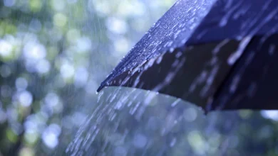 Heavy rain to start the week with Amber warning issued