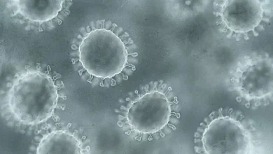 Here are the places in SC you’re most likely to catch the vomiting disease spreading in the state