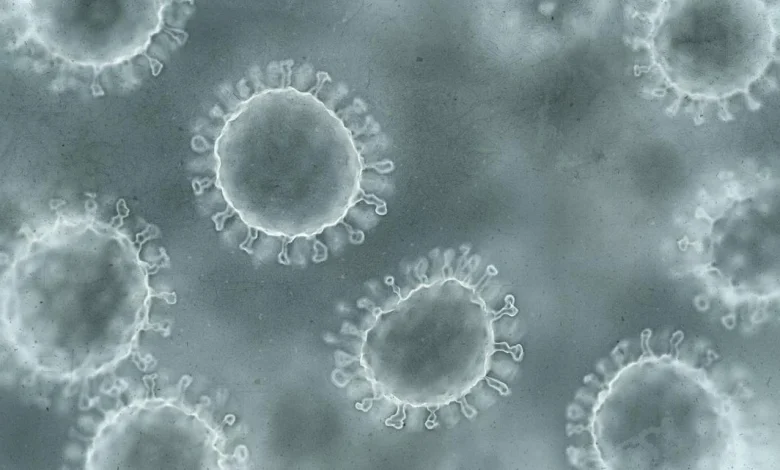 Here are the places in SC you’re most likely to catch the vomiting disease spreading in the state