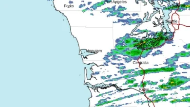 Here come the power outages: Wind, rain in forecast for Tacoma, Olympia areas