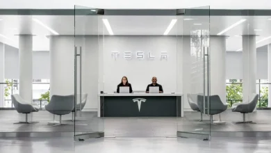 Here’s what a single share of Tesla stock cost in January – and what it’s worth now!