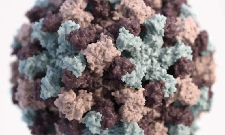 Highly infectious ‘stomach flu’ spreads. How to disinfect after norovirus