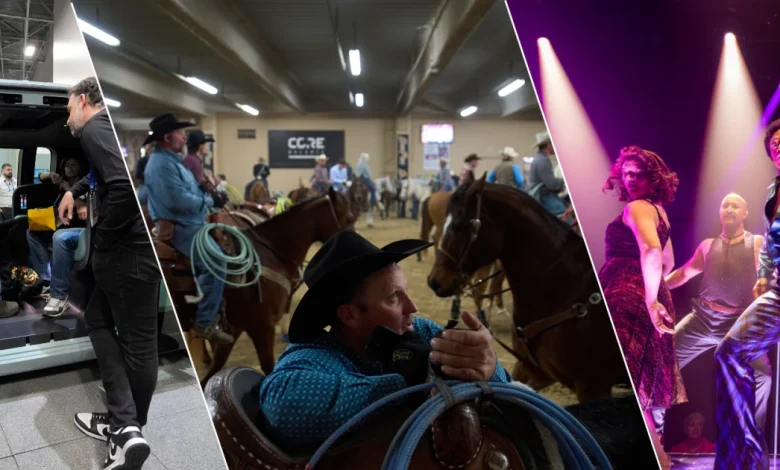 Holiday pet adoptions, robotaxis expand, and DiscoShow to close