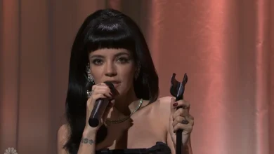 Hollywood actress throws shade at David Harbour as she kisses Lily Allen in SNL cameo