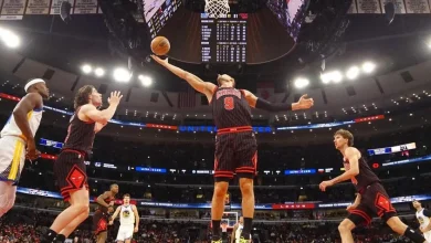 Hornets vs. Bulls Prediction, Odds, Picks, Best Bets for Dec. 12