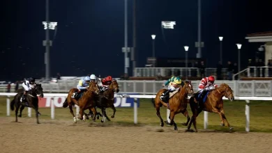 Horse Racing Tips: A 5/1 shout tops our best Chelmsford bets tonight