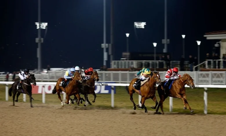 Horse Racing Tips: A 5/1 shout tops our best Chelmsford bets tonight