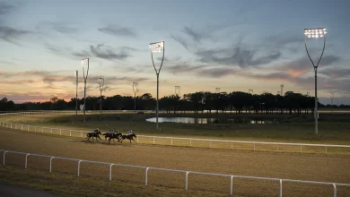 Horse Racing Tips: our Thursday Chelmsford fancies include a 13/2 shot