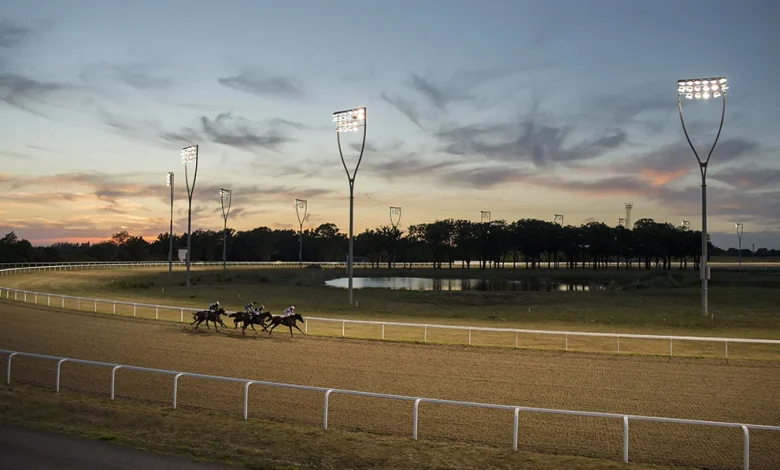 Horse Racing Tips: our Thursday Chelmsford fancies include a 13/2 shot