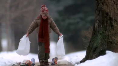 How Much The Kevin McCallister's 'Home Alone' Grocery Run Would Cost In 2025