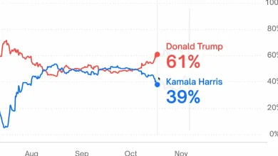 How a French "whale" made over $80 million on Trump's 2024 win