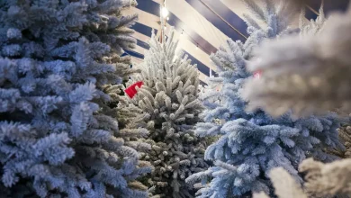 How many days until Christmas 2025? See countdown clock