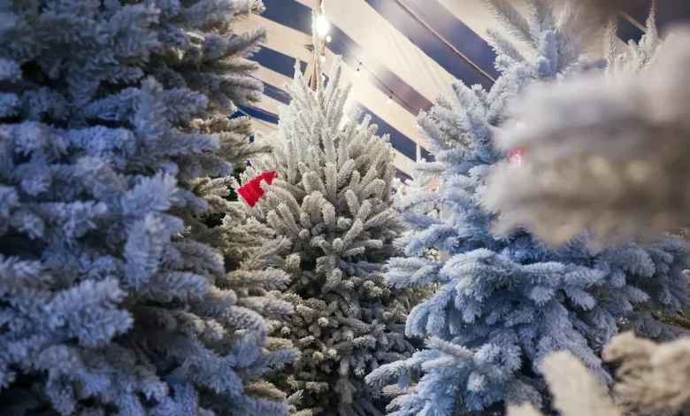 How many days until Christmas 2025? See countdown clock