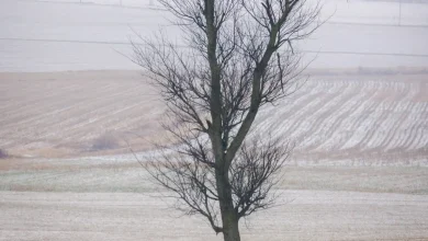 How much snow could York and Adams counties get this weekend?
