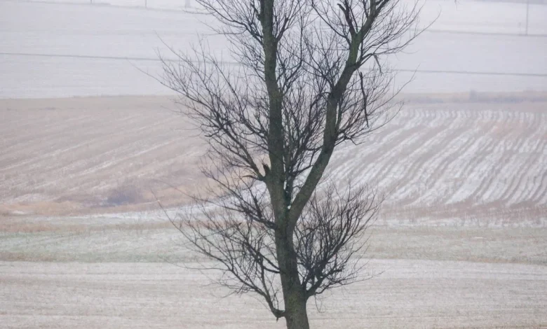 How much snow could York and Adams counties get this weekend?