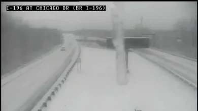 How much snow fell in Michigan: A foot of snow fell in some areas