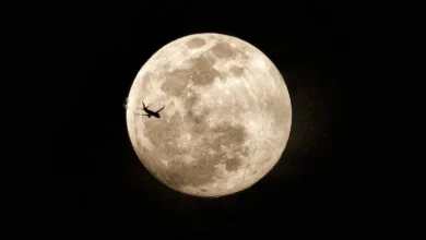 How to see the last supermoon of 2025 in WA