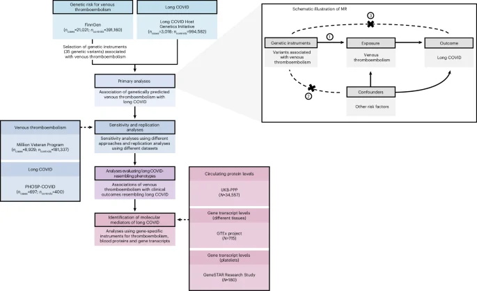 Human genetics implicate thromboembolism in the pathogenesis of long COVID in individuals of European ancestry