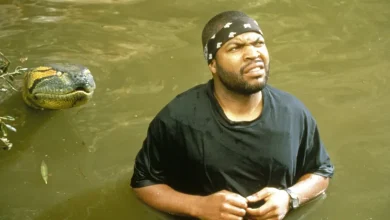 Ice Cube Teases “Full Circle” Cameo In ‘Anaconda’: “I Jumped At It”
