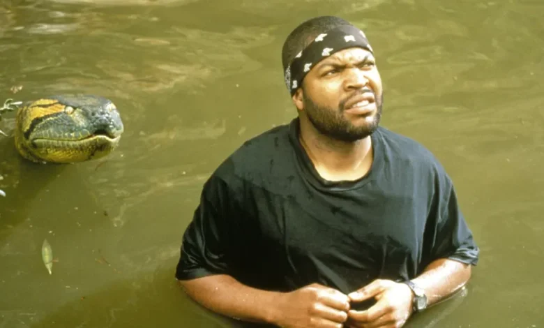 Ice Cube Teases “Full Circle” Cameo In ‘Anaconda’: “I Jumped At It”