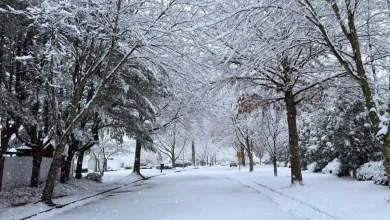 Icy patches could delay school start times Monday morning