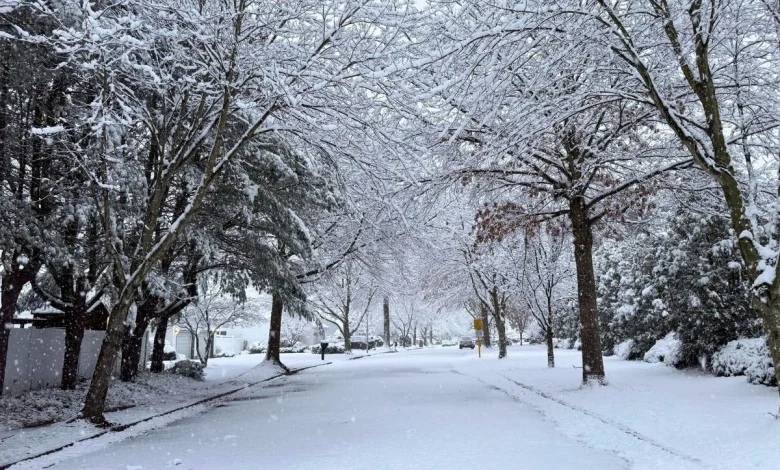 Icy patches could delay school start times Monday morning
