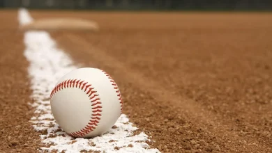 Illinois just got its own wild, stunt filled baseball team