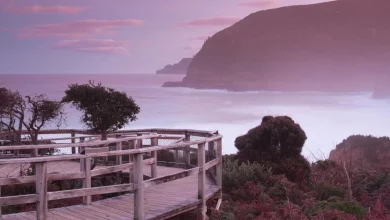 I’m seeking the elusive southern lights in Tasmania