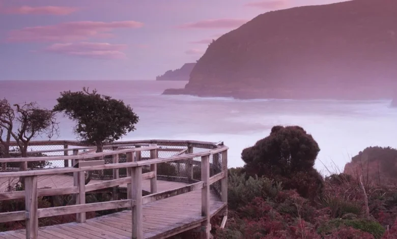 I’m seeking the elusive southern lights in Tasmania